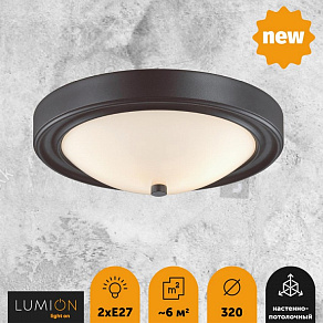 Накладной светильник Lumion Nina 5260/2C