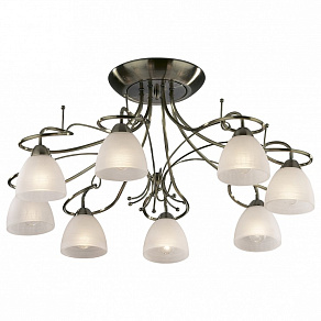 Потолочная люстра Odeon Light Kaena 2120/8C