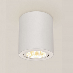 Накладной светильник Citilux Дюрен CL538111