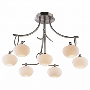 Потолочная люстра Odeon Light Rondo 1813/7C