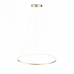 Подвесной светильник ST-Luce Erto SL904.213.01