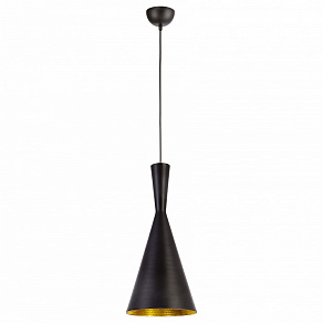 Подвесной светильник Arte Lamp Capello A3408SP-1BK