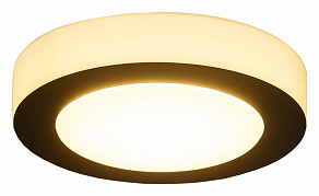 Накладной светильник TopDecor Hilton Hilton P1 12