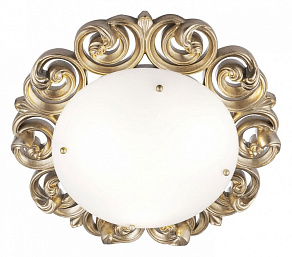 Накладной светильник Maytoni Lantana H300-03-G