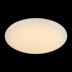 Накладной светильник ST-Luce SL875 SL875.442.01