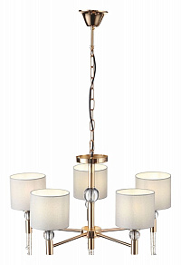 Подвесная люстра EVOLUCE Primma SLE105273-05