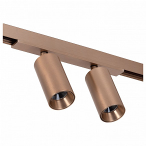 Светильник на штанге Lucide Linial 55901/16/05