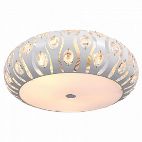 Накладной светильник ST-Luce Calma SL793.502.05