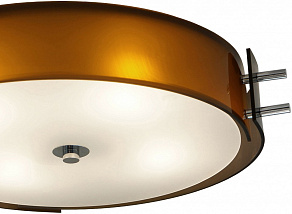 Накладной светильник ST-Luce Heggia SL484.702.04