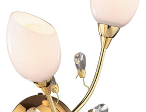 Бра Odeon Light Fiera 1604/2W