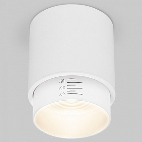 Накладной светильник Elektrostandard Cors 25032/LED