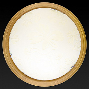 Накладной светильник TopLight Jane TL9640Y-00OA
