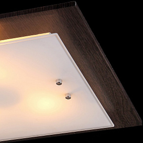 Накладной светильник Natali Kovaltseva Alps ALPS 11367/3C WENGE