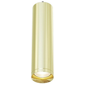 Подвесной светильник Maytoni Shelby P020PL-01G