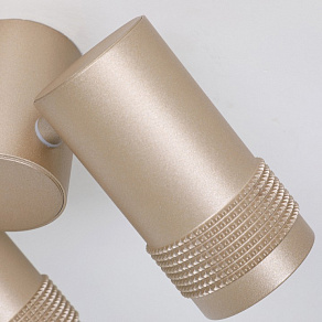 Спот Favourite Kinescope 2455-2U