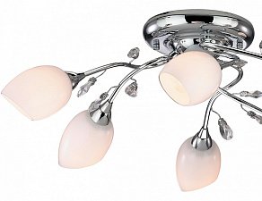 Потолочная люстра Odeon Light Fiera 1603/6