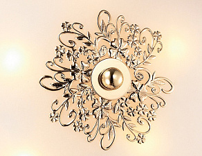Накладной светильник Odeon Light Alesia 2676/5C
