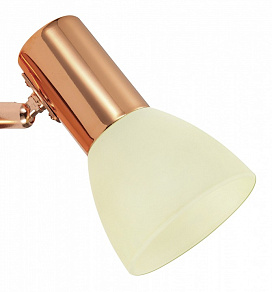 Спот Eglo Glossy 2 94736