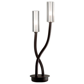 Настольная лампа декоративная Odeon Light Moden 2010/2T