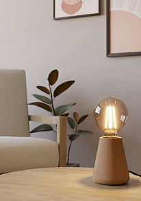 Настольная лампа декоративная Eglo ASBY 44014