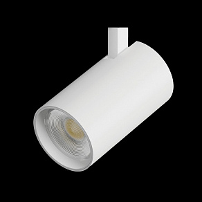 Светильник на штанге Lightstar Fuoco LED 215246