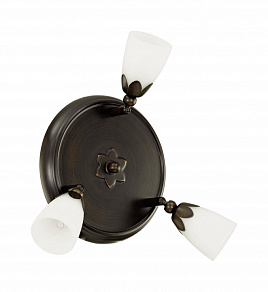 Спот Eglo Danielle 91431