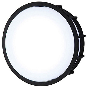 Накладной светильник L'Arte Luce Telma L78055.31