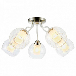 Потолочная люстра Freya Clara FR5604-CL-05-CH