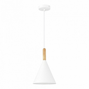 Подвесной светильник EVOLUCE Arket SLE1255-503-01