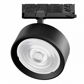 Светильник на штанге Lightstar Alta Pro A5747QT60G