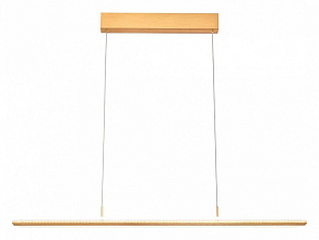 Подвесной светильник Vele Luce Futuro VL7224P01