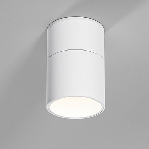 Накладной светильник Elektrostandard Rolly a067487