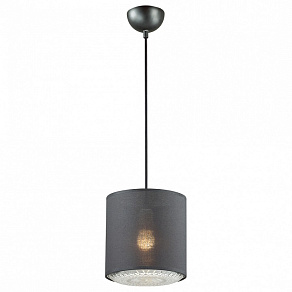 Подвесной светильник Lumion Dora 3738/1