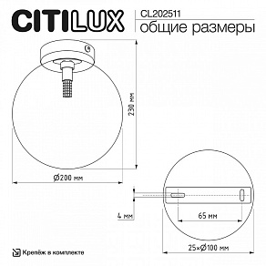 Накладной светильник Citilux ORTON CL202511