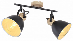 Спот Globo Wiho 54018-2S