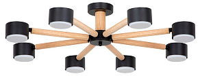 Потолочная люстра Arte Lamp TENDA A1624PL-8BK