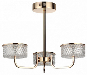 Люстра на штанге Lumion Venice 6579/40CL