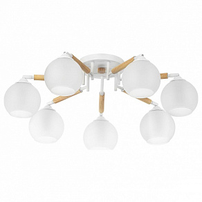 Потолочная люстра Citilux Tika CL133170