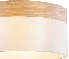 Накладной светильник TopLight Mabel TL1121-3D