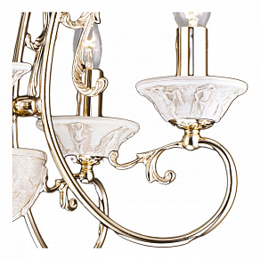Подвесная люстра Arte Lamp Terme A2073LM-5GO