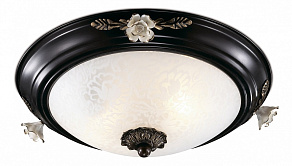 Накладной светильник Odeon Light Bone 2693/2C