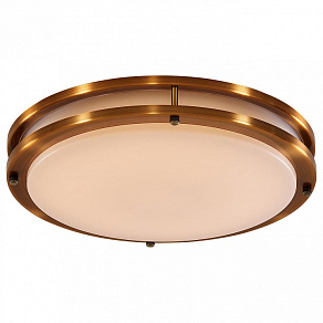 Накладной светильник Citilux Бостон CL709403