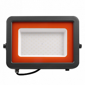 Настенно-потолочный прожектор Jazzway  PFL-S2 100w 6500K IP65