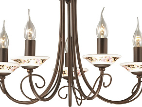 Подвесная люстра Odeon Light Riva 2529/5