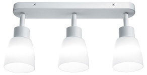 Спот Feron Barre 41515