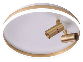 Накладной светильник Zortes Raizy ZRS.1888.02