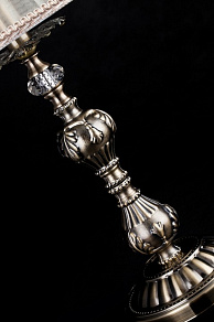 Настольная лампа декоративная Maytoni Rapsodi ARM305-22-R