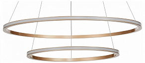 Подвесной светильник ST-Luce ST604 OUT ST604.243.56