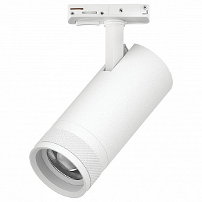 Светильник на штанге Lightstar Canno Pro C4206SS