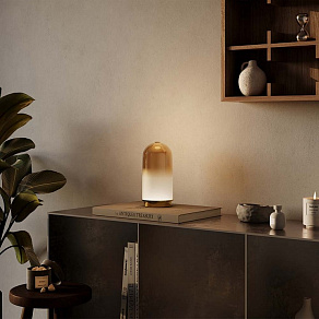 Настольная лампа декоративная Maytoni Fable MOD488TL-L8BS3K